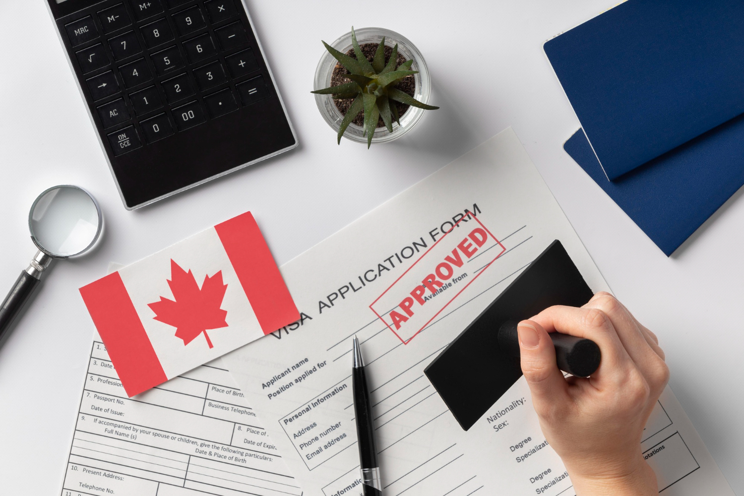 Read more about the article Essential Documents for Canada Student Visa: A Comprehensive Guide
